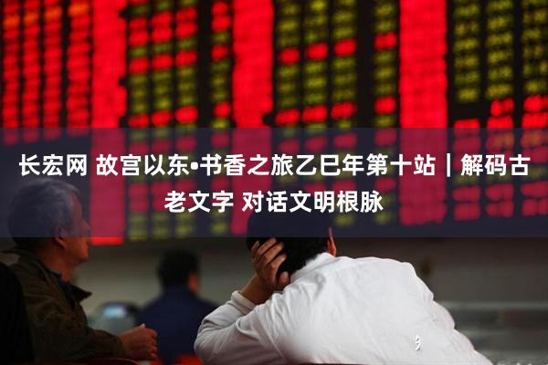 长宏网 故宫以东•书香之旅乙巳年第十站｜解码古老文字 对话文明根脉