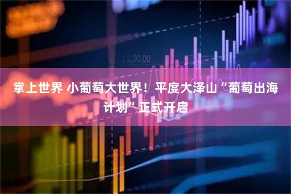 掌上世界 小葡萄大世界！平度大泽山“葡萄出海计划”正式开启