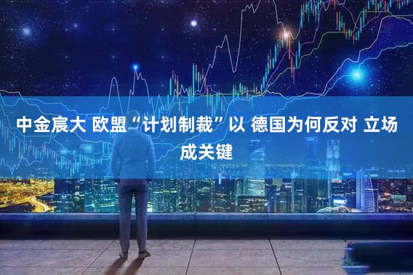 中金宸大 欧盟“计划制裁”以 德国为何反对 立场成关键