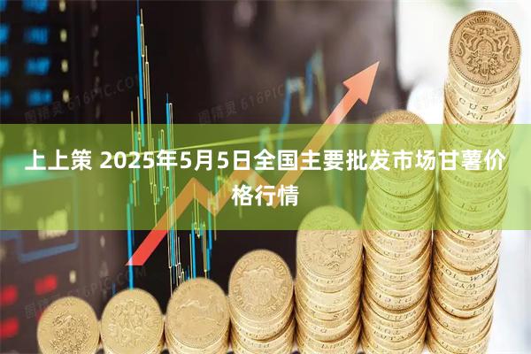 上上策 2025年5月5日全国主要批发市场甘薯价格行情