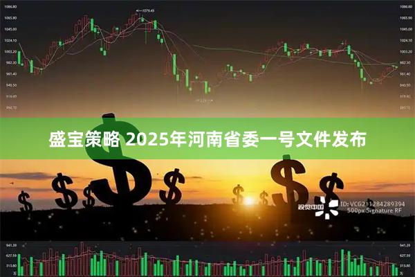 盛宝策略 2025年河南省委一号文件发布