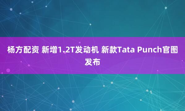 杨方配资 新增1.2T发动机 新款Tata Punch官图发布