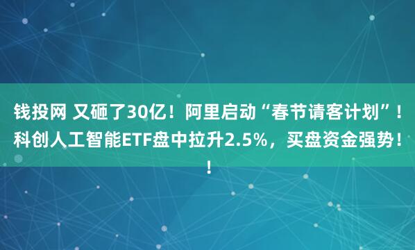 钱投网 又砸了30亿！阿里启动“春节请客计划”！科创人工智能ETF盘中拉升2.5%，买盘资金强势！