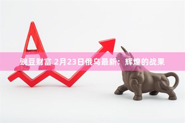 豌豆财富 2月23日俄乌最新：辉煌的战果